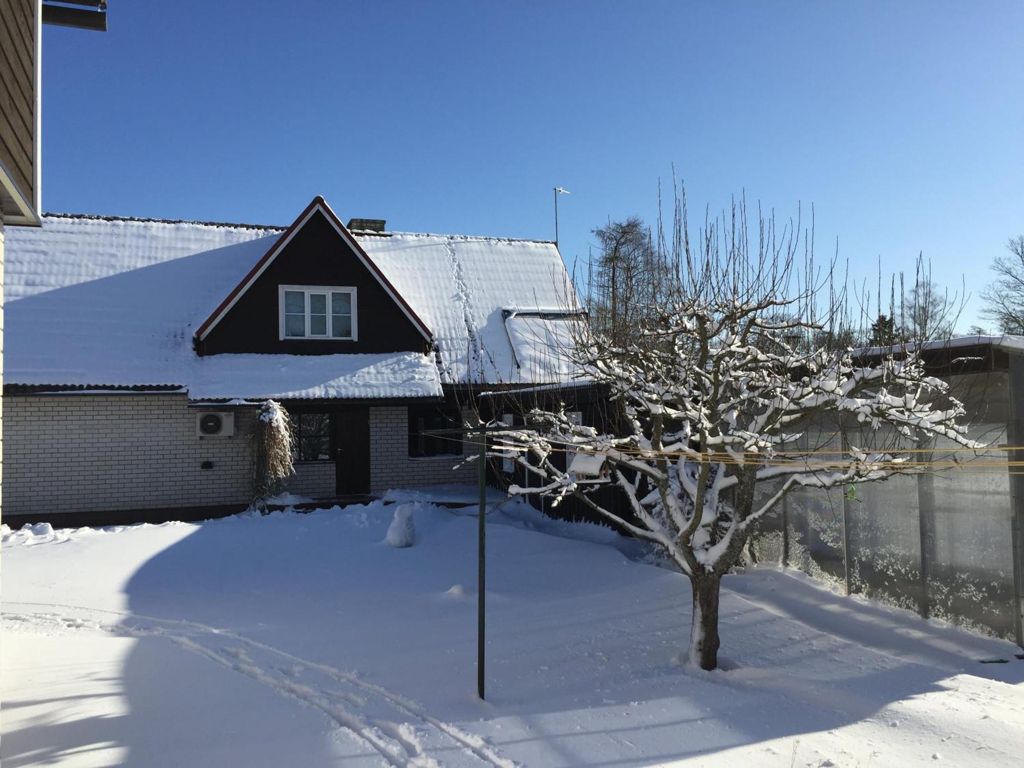 Tiigi Accommodation Kärdla المظهر الخارجي الصورة